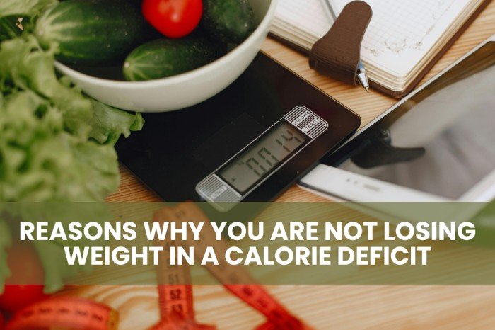 Reasons Why You Are Not Losing Weight In A Calorie Deficit